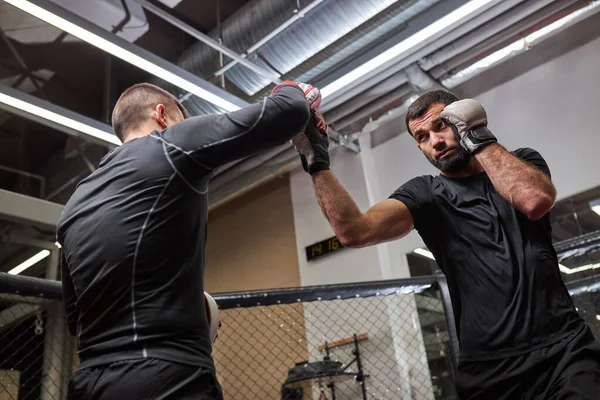 Jonge zelfverzekerde MMA Fighter toont beste trucs aan nieuwe vechter, onderwijs, training samen — Stockfoto