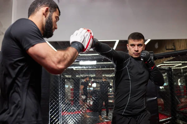 Dos hombres fuertes boxeadores haciendo ejercicio de kick boxing en el ring en el club de salud o gimnasio —  Fotos de Stock