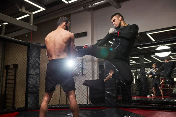 MMA 。两名肌肉发达的职业拳击手拳击，适合肌肉发达的高加索运动员打斗 — 图库照片