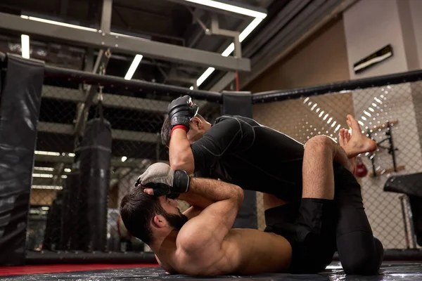 MMA boksörlerinin yan görüntüsü spor salonundaki kafes ringinde kuralsız dövüşüyor..