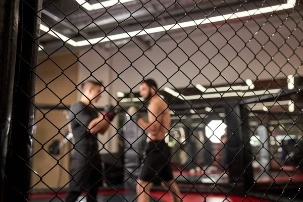 Θέα μέσα από κλουβί, δύο ταιριάζει σπορ άνδρες αγωνίζονται, bodybuilders γροθιά ο ένας τον άλλον — Φωτογραφία Αρχείου