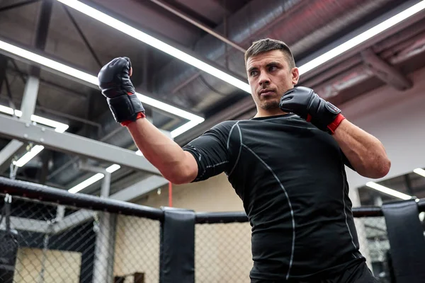 Fit strong man boxer in gloves standing in fighting pose during workout — Stock fotografie