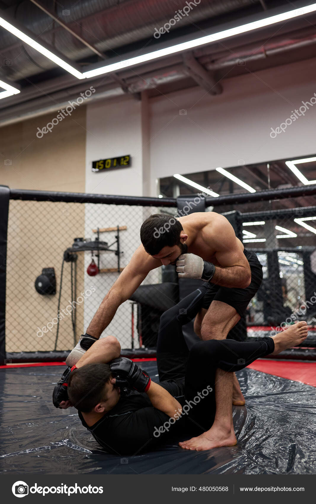 Sports concept of fighting without rules. Two strong powerful wrestlers at  gym, training Stock Photo by ©ufabizphoto 480050568