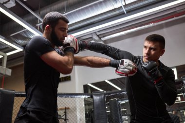 İki atletik boksör sağlık kulübünde ya da spor salonunda tekmeleme egzersizi yapıyor.