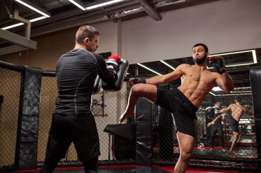 Karışık dövüş sanatçıları birbirlerini yumrukluyor, spor salonunda kuralsız dövüşüyorlar, antrenman yapıyorlar.