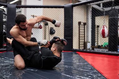 MMA. İki genç profesyonel boksör, kaslı beyaz sporcular dövüşüyor.