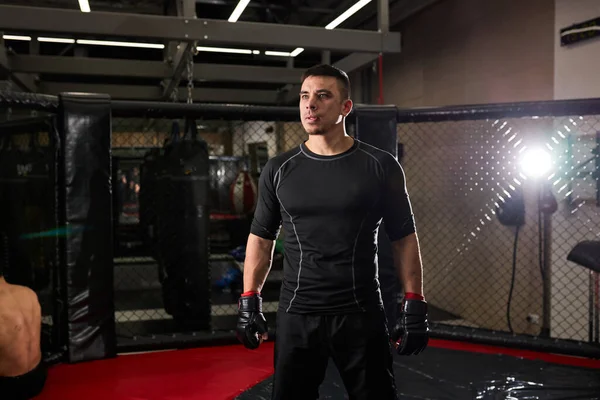 Un hombre guapo y seguro boxeador con guantes de pie después de la pelea. Boxeador joven durante el entrenamiento —  Fotos de Stock