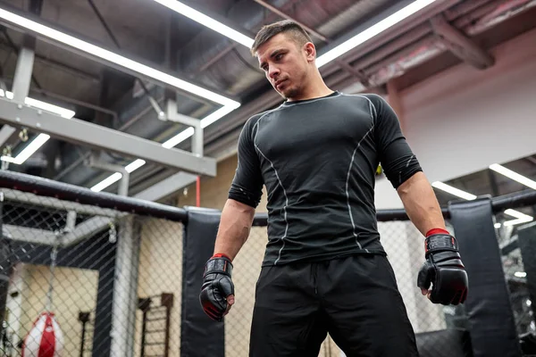 Caucásico boxeador adulto seguro de sí mismo en pose, realiza ejercicios en el ring en el gimnasio. entrenamiento de boxeadores —  Fotos de Stock