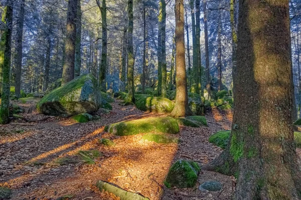 德国西南部黑森林的Brend路 Guenterfelsen是一个巨大的 布满青苔的岩石结构 秋叶上有一道太阳光 — 图库照片