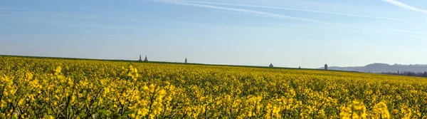 Panorama Tower Tops City Rothenburg Viewed Rapeseed Hill Bavaria South — Stock Photo, Image