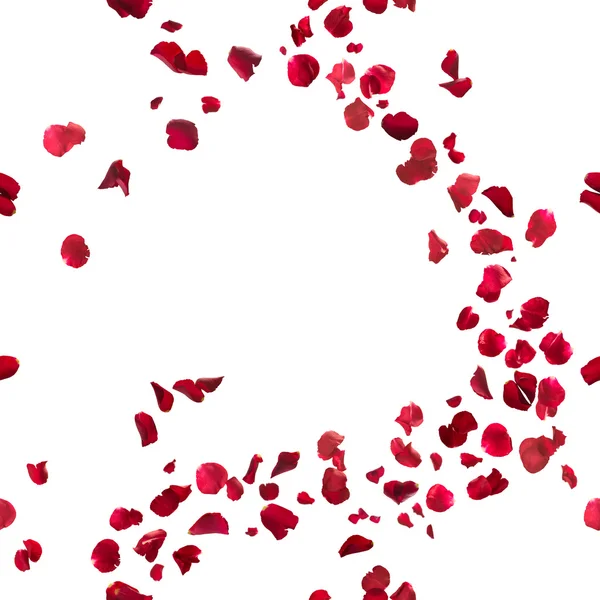无缝的红玫瑰花瓣微风 — 图库照片#