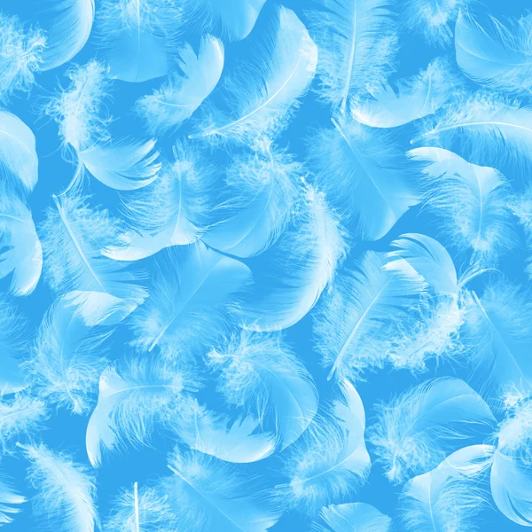 Seamless Transparent Feathers on Blue — Stock Photo, Image