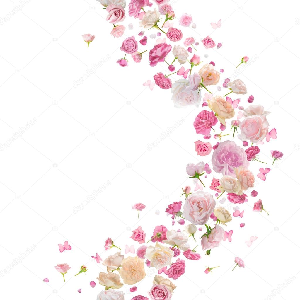Seamless Roses and Butterflies Curve