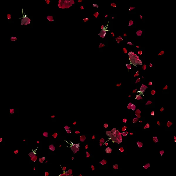 Sweep czerwone róże na czarnym tle — Zdjęcie stockowe