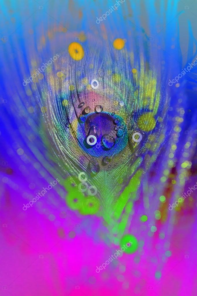 Colorful Peacock Glitter Effects Live Wallpaper APK per Android Download