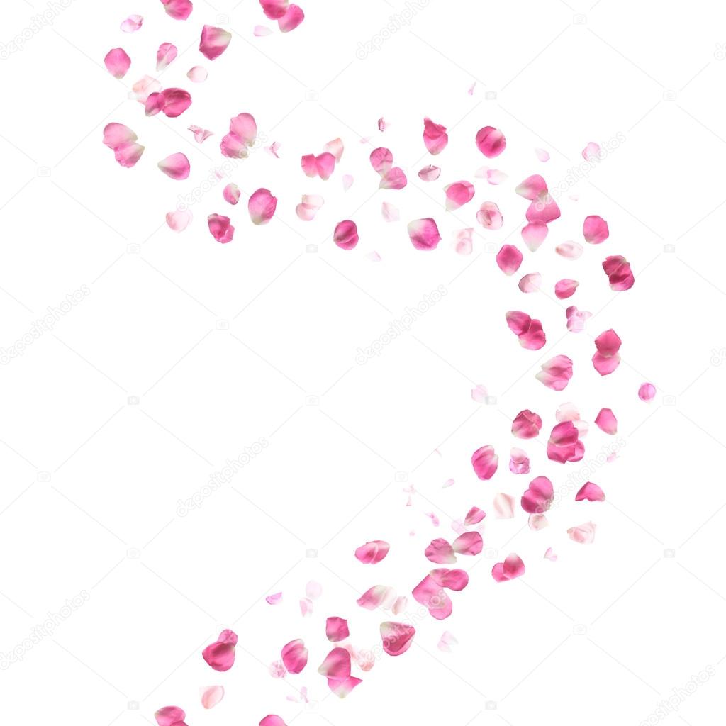 Seamless Pink Rose Petals Pattern