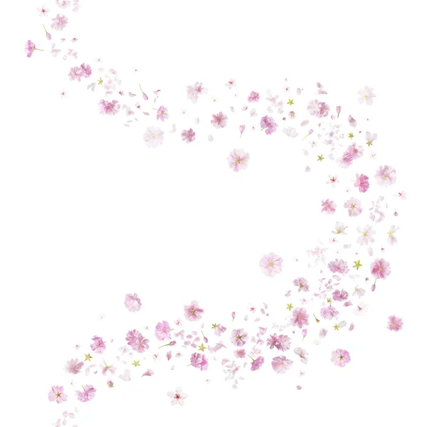 Curva de brisa Sakura — Foto de Stock