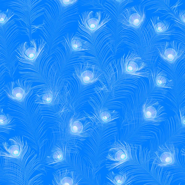 Pawich piór na niebiesko — Zdjęcie stockowe
