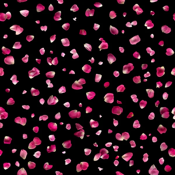 Seamless Pink Rose Petals on Black — Stock Photo, Image