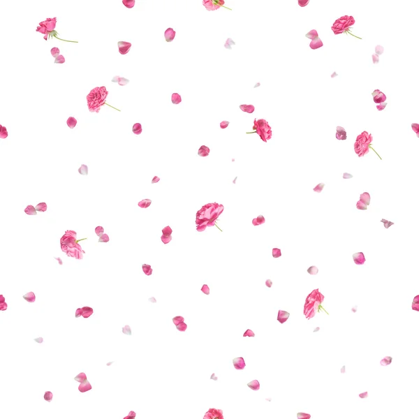 Petali di rosa senza cuciture su bianco — Foto Stock