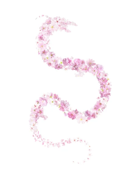 Sakura Blossoms Dragon — Stockfoto