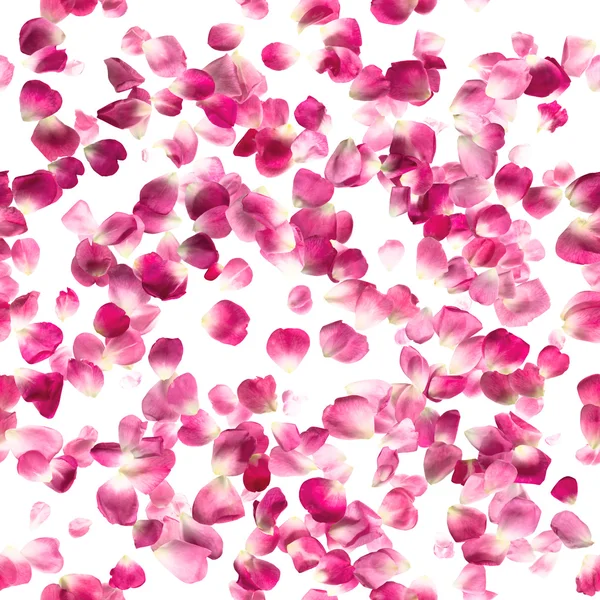 孤立无缝罗莎玫瑰花瓣 — 图库照片
