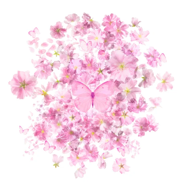 Cherry Blossoms gäng fjärilar — Stockfoto