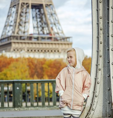 Paris Pont de Bir-Hakeim köprüde etkin alt kenara arıyorsunuz