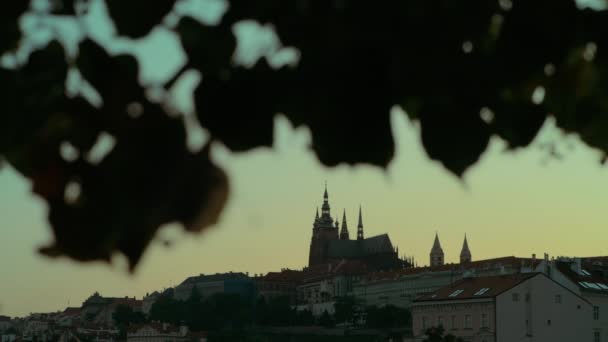 Silhouette Vitus Cathedral Prague Czech Republic Foliage Sunset — Stock Video