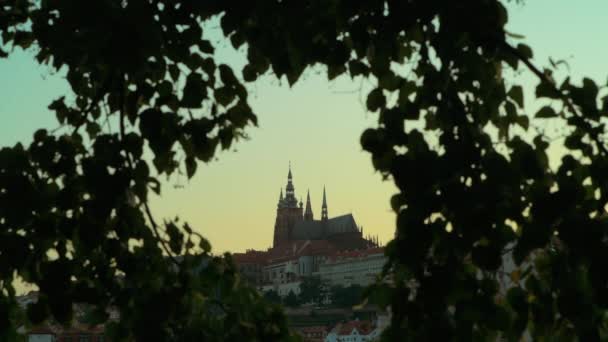 Вид Собор Святого Віта Празі Чеська Республіка Через Листя Під — стокове відео