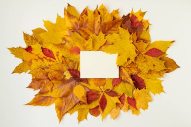 Merhaba Kasım ayı. Kağıt sayfa ve beyaz arkaplanda yapraklarla sonbahar arkaplanı.