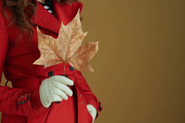 Life Coronavirus Pandemic Closeup Female Red Coat Yellow Autumn Maple — Stock Photo, Image