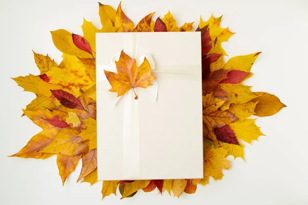 11月だ 秋の平土間にプレゼントの箱と白い背景の葉 — ストック写真