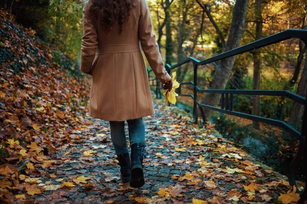 Olá Outono Visto Por Trás Mulher Meia Idade Casaco Bege — Fotografia de Stock