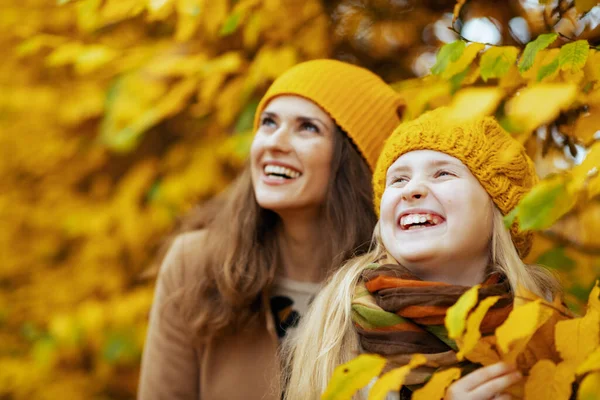 안녕하 여러분 가을에 공원에서 현대의 어머니와 오렌지 모자를 채웃으며 주머니쥐의 — 스톡 사진