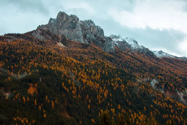 Landschap Met Bergen Dennenbomen Dolomieten Italië Herfst — Stockfoto