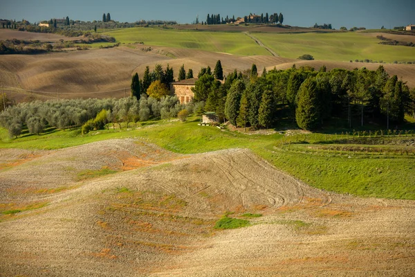 Paisaje Con Campo Agrícola Colinas Árboles Toscana Italia Verano —  Fotos de Stock