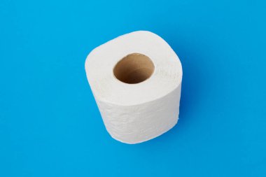 düz yatıyordu mavi arka planda tuvalet kağıdı ile.