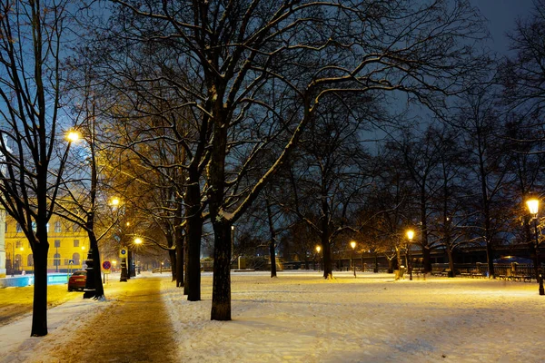 Paysage Avec Des Lampadaires Prague République Tchèque Hiver Nuit — Photo