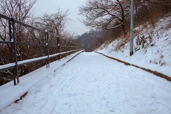 Landscape Prague Czech Republic Park Winter — Stockfoto