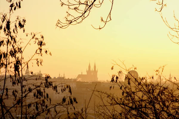 Landschaft Mit Der Frauenkirche Vor Dem Tyn Durch Das Laub — Stockfoto