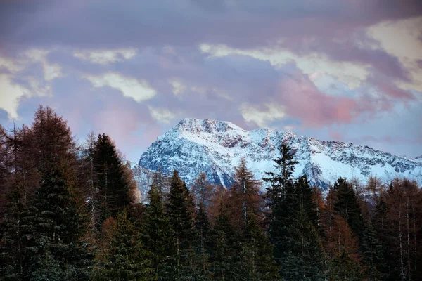 Τοπίο Βουνά Έλατα Και Σύννεφα Στους Δολομίτες Της Ιταλίας Χειμώνα — Φωτογραφία Αρχείου