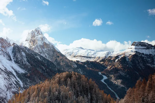 Landschap Met Bergen Dennenbomen Dolomieten Italië Winter — Stockfoto
