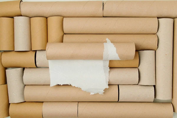 flat lay on toilet paper tubes background.