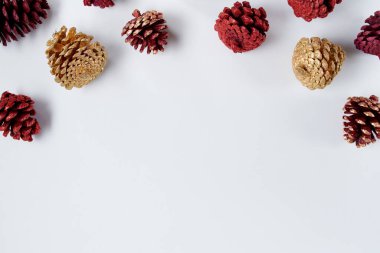 Beyaz arkaplanda kozalaklı kozalaklar vardı..