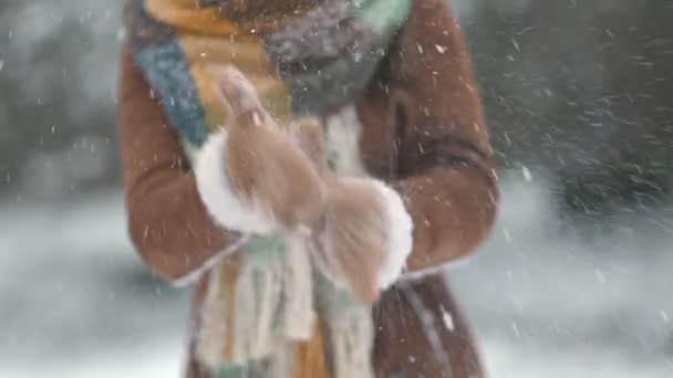 Szoros Kép Barna Kalap Sál Kívül Városi Parkban Télen Báránybőr — Stock videók