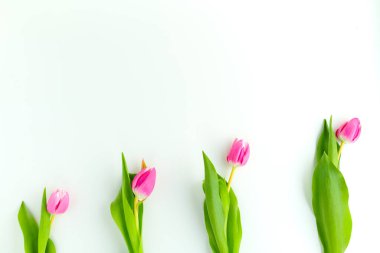 bahar beyazı bembeyaz lalelerle kaplıydı..