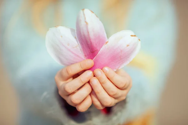 春天里 儿童手中的玉兰花花瓣上的花瓣 — 图库照片