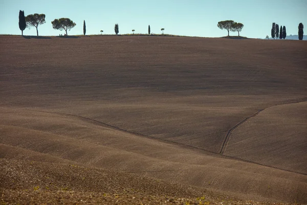 Paisagem Com Campo Agrícola Colinas Árvores Toscana Itália Outono — Fotografia de Stock