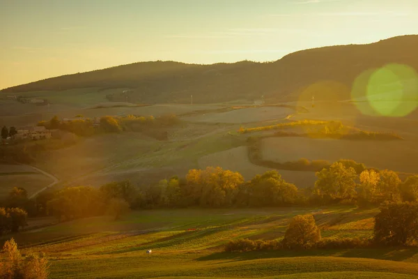 Landschaft Mit Landwirtschaftlichem Feld Hügeln Und Bäumen Der Toskana Italien — Stockfoto